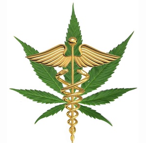 Medicinal Cannabis Update